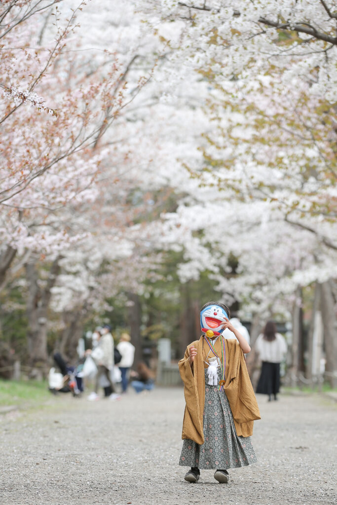 七五三ロケ桜