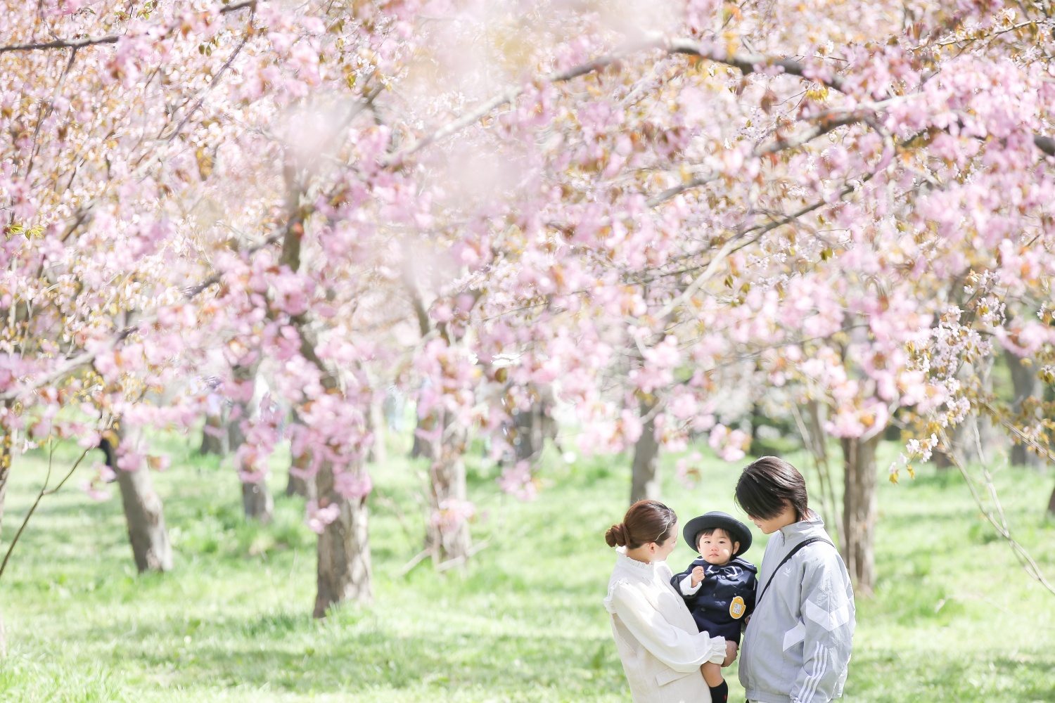 photostudio uruku (フォトスタジオウルク) portfolio image 5